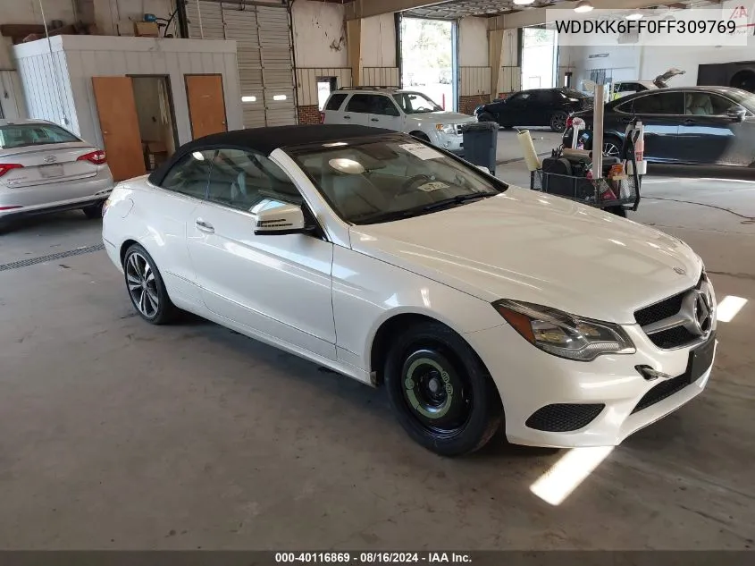 2015 Mercedes-Benz E 400 VIN: WDDKK6FF0FF309769 Lot: 40116869