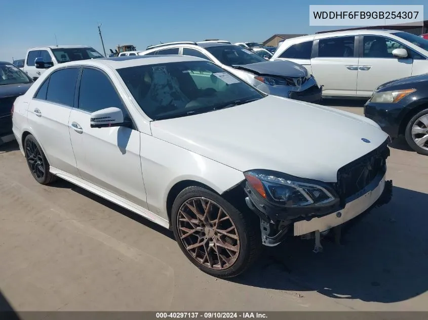 2016 Mercedes-Benz E 400 VIN: WDDHF6FB9GB254307 Lot: 40297137