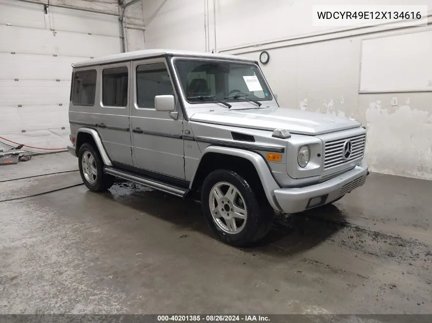 2002 Mercedes-Benz G 500 VIN: WDCYR49E12X134616 Lot: 40201385