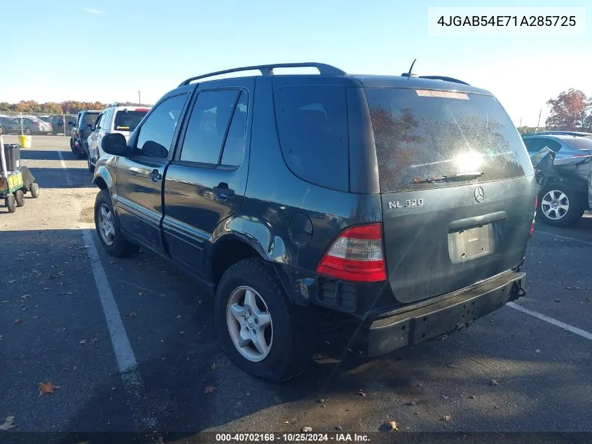 2001 Mercedes-Benz Ml 320 VIN: 4JGAB54E71A285725 Lot: 40702168