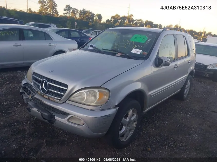 2002 Mercedes-Benz Ml 500 VIN: 4JGAB75E62A310318 Lot: 40306143