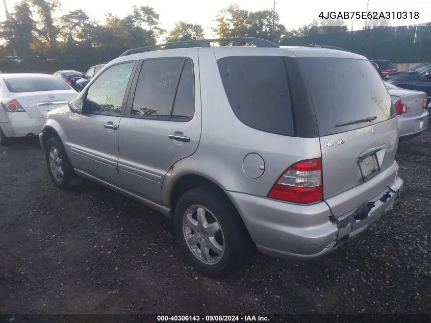 2002 Mercedes-Benz Ml 500 VIN: 4JGAB75E62A310318 Lot: 40306143