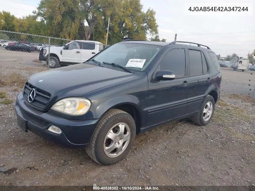 2002 Mercedes-Benz Ml 320 320 VIN: 4JGAB54E42A347244 Lot: 40538302