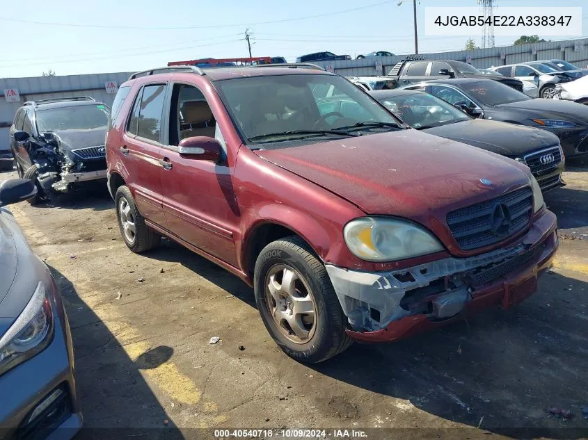 2002 Mercedes-Benz Ml 320 VIN: 4JGAB54E22A338347 Lot: 40540718