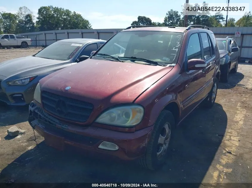 2002 Mercedes-Benz Ml 320 VIN: 4JGAB54E22A338347 Lot: 40540718