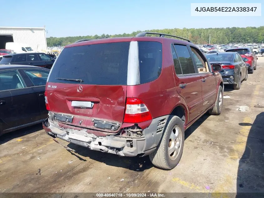 2002 Mercedes-Benz Ml 320 VIN: 4JGAB54E22A338347 Lot: 40540718