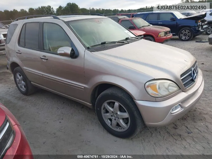 2002 Mercedes-Benz Ml 500 VIN: 4JGAB75E02A302490 Lot: 40674761