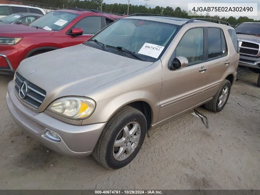 2002 Mercedes-Benz Ml 500 VIN: 4JGAB75E02A302490 Lot: 40674761