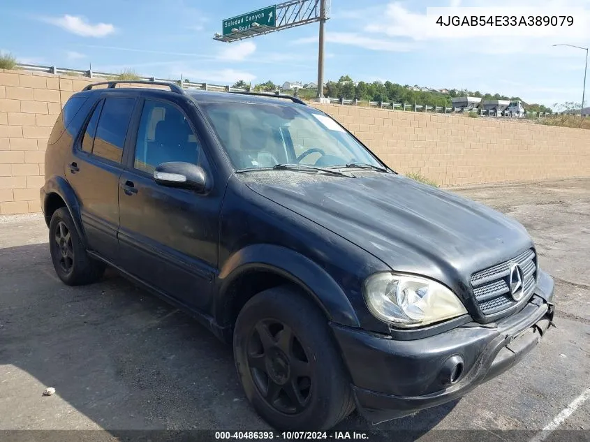 2003 Mercedes-Benz Ml 320 VIN: 4JGAB54E33A389079 Lot: 40486393