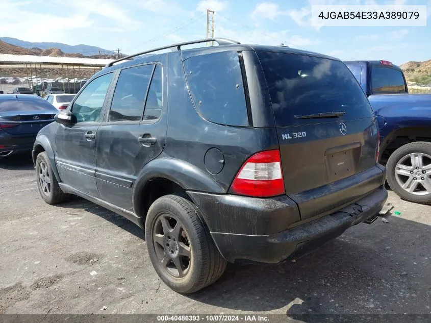 2003 Mercedes-Benz Ml 320 VIN: 4JGAB54E33A389079 Lot: 40486393