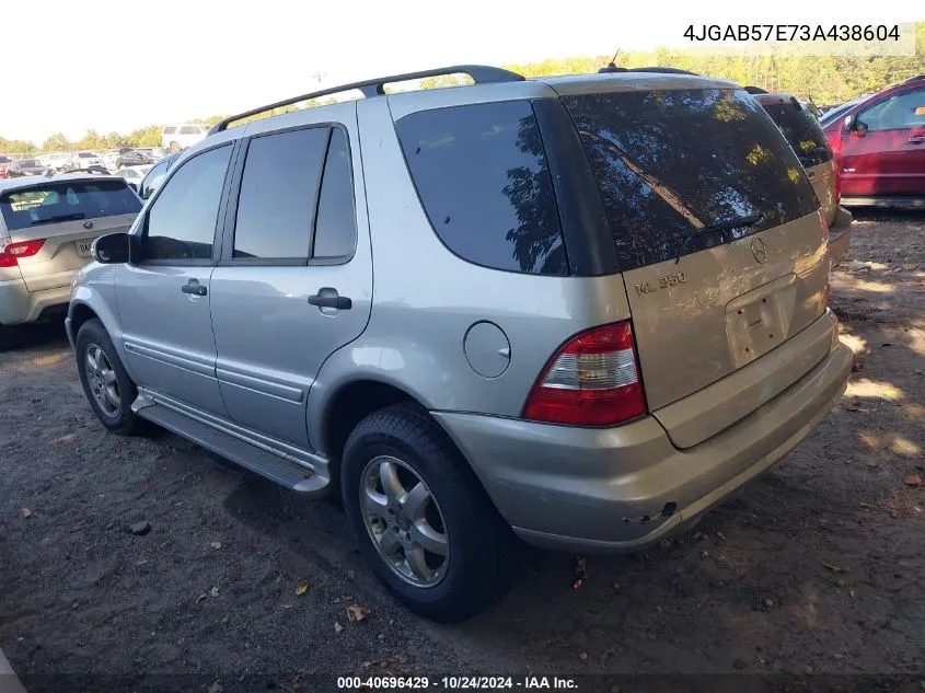 2003 Mercedes-Benz Ml 350 VIN: 4JGAB57E73A438604 Lot: 40696429