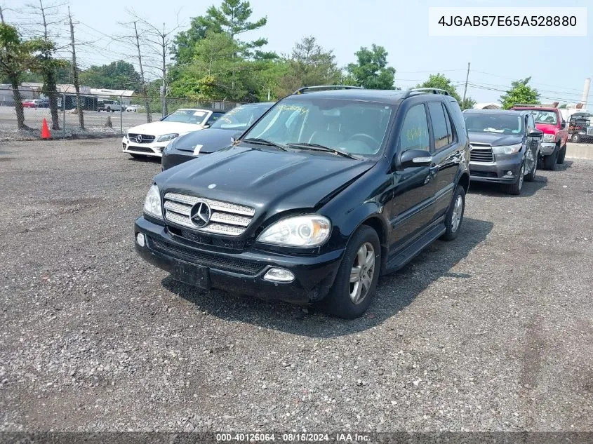 2005 Mercedes-Benz Ml 350 4Matic VIN: 4JGAB57E65A528880 Lot: 40126064