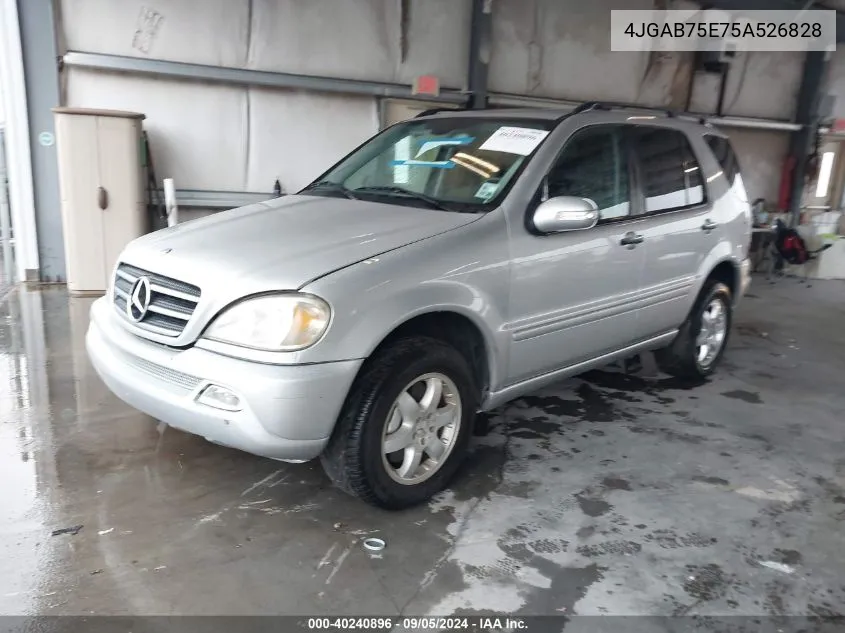 2005 Mercedes-Benz Ml 500 VIN: 4JGAB75E75A526828 Lot: 40240896