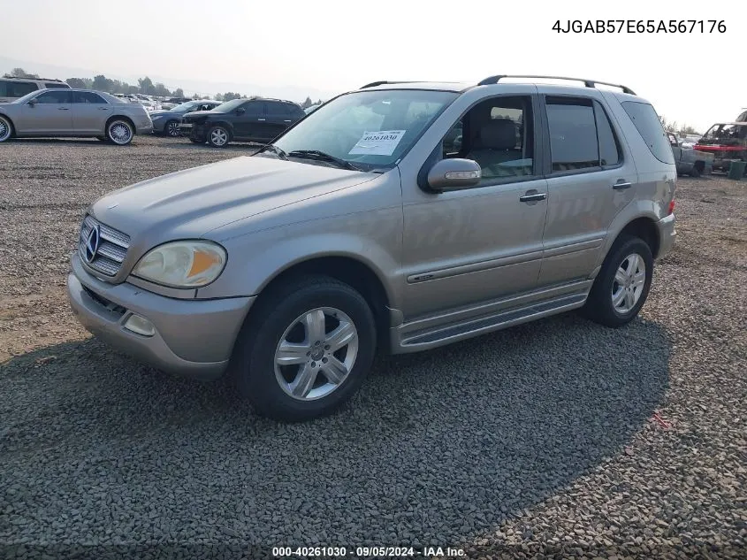 2005 Mercedes-Benz Ml 350 350 VIN: 4JGAB57E65A567176 Lot: 40261030