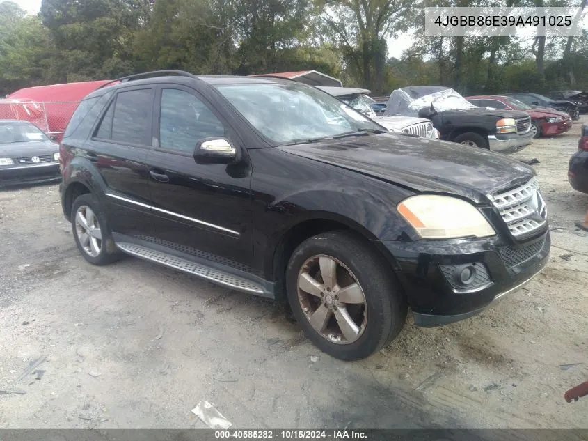 2009 Mercedes-Benz Ml 350 4Matic VIN: 4JGBB86E39A491025 Lot: 40585282