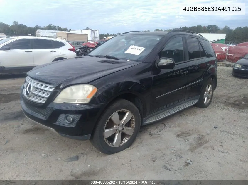 2009 Mercedes-Benz Ml 350 4Matic VIN: 4JGBB86E39A491025 Lot: 40585282