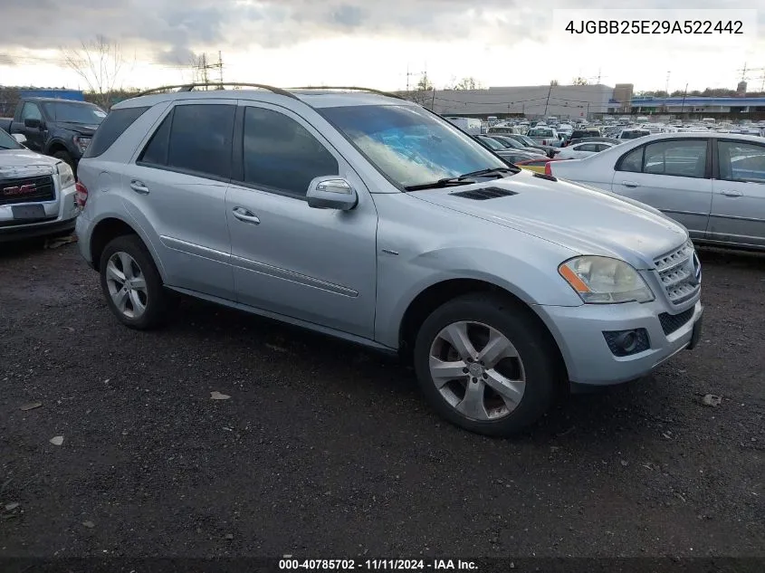 2009 Mercedes-Benz Ml 320 Bluetec 4Matic VIN: 4JGBB25E29A522442 Lot: 40785702