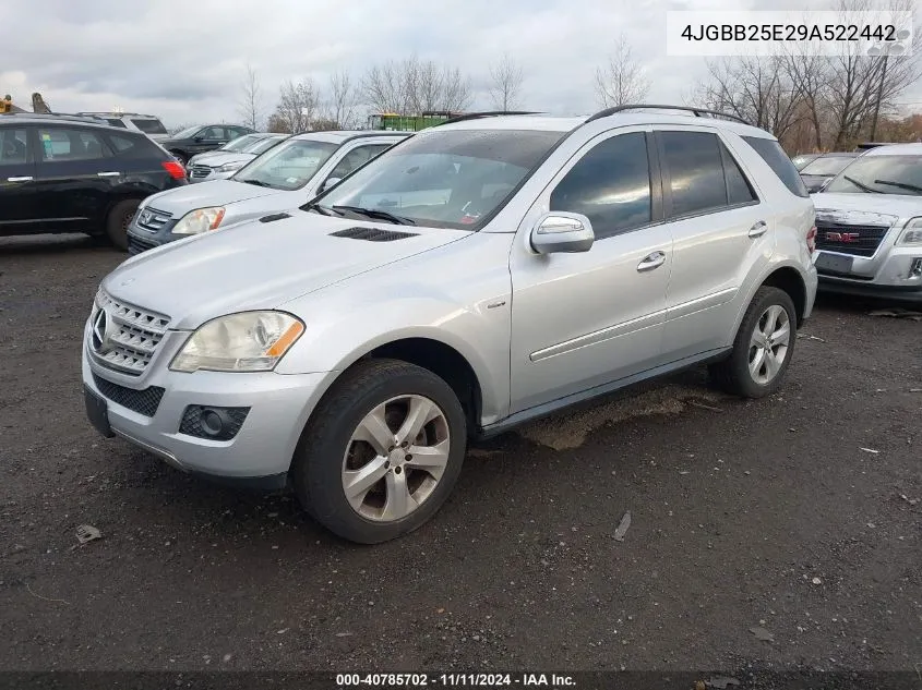 2009 Mercedes-Benz Ml 320 Bluetec 4Matic VIN: 4JGBB25E29A522442 Lot: 40785702