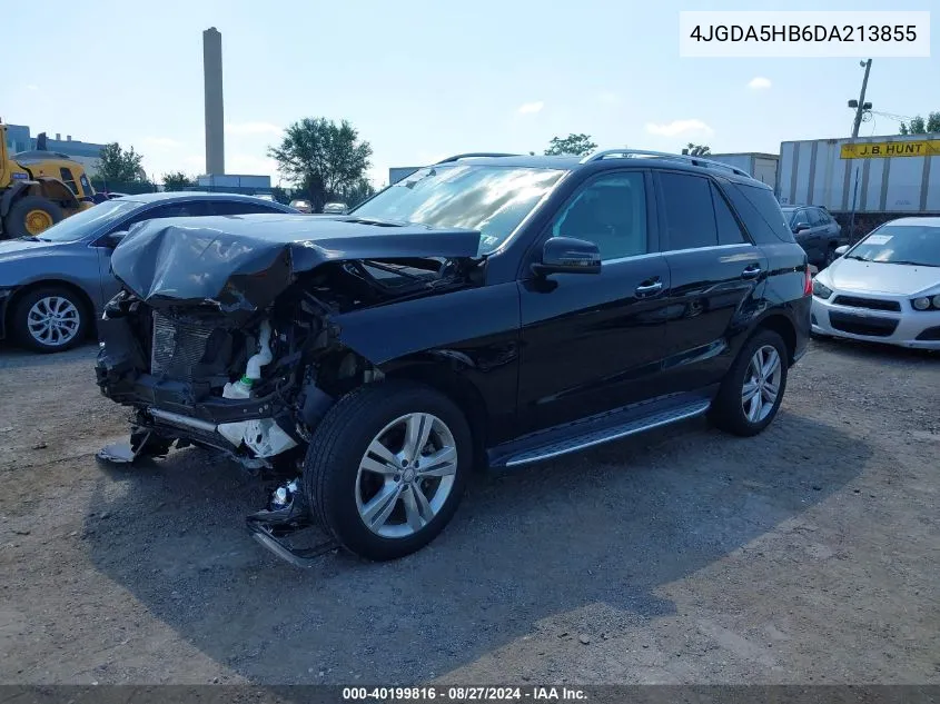 2013 Mercedes-Benz Ml 350 4Matic VIN: 4JGDA5HB6DA213855 Lot: 40199816