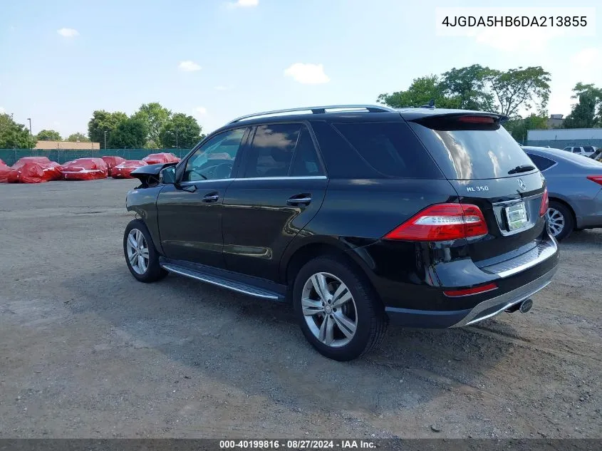 2013 Mercedes-Benz Ml 350 4Matic VIN: 4JGDA5HB6DA213855 Lot: 40199816