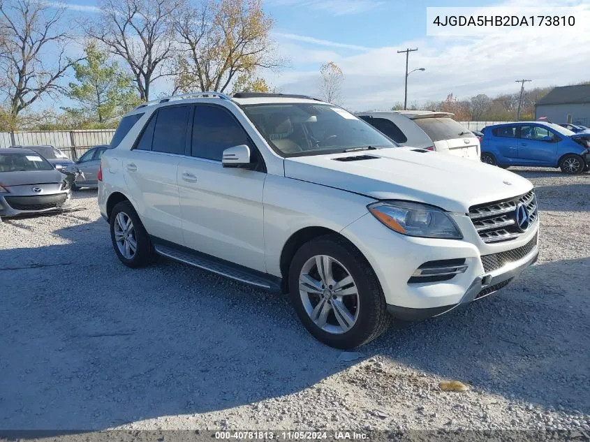 2013 Mercedes-Benz Ml 350 4Matic VIN: 4JGDA5HB2DA173810 Lot: 40781813