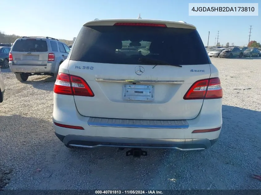 2013 Mercedes-Benz Ml 350 4Matic VIN: 4JGDA5HB2DA173810 Lot: 40781813