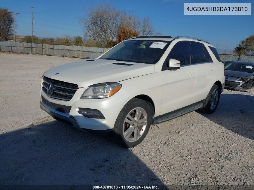 2013 Mercedes-Benz Ml 350 4Matic VIN: 4JGDA5HB2DA173810 Lot: 40781813