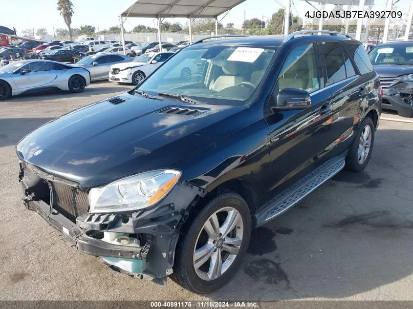 2014 Mercedes-Benz Ml 350 VIN: 4JGDA5JB7EA392709 Lot: 40891175