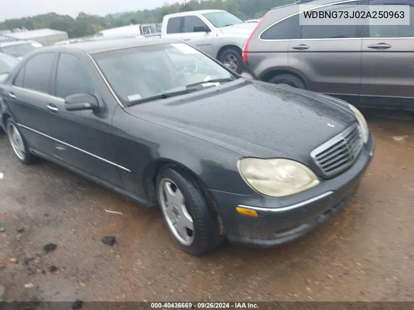 2002 Mercedes-Benz S 55 Amg VIN: WDBNG73J02A250963 Lot: 40436669