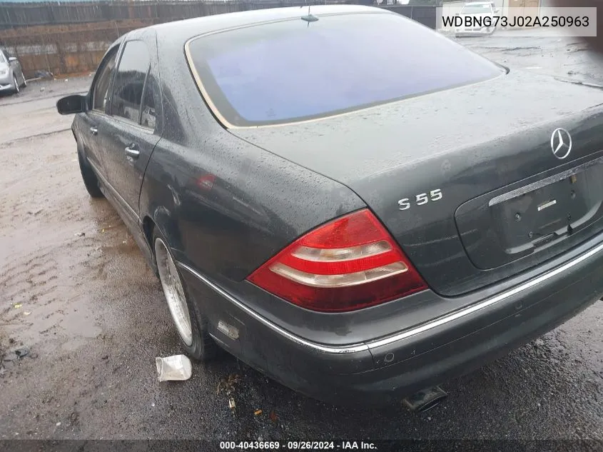 2002 Mercedes-Benz S 55 Amg VIN: WDBNG73J02A250963 Lot: 40436669