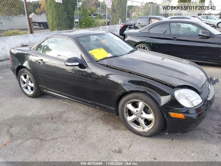 2001 Mercedes-Benz Slk 320 VIN: WDBKK65F01F202840 Lot: 40783880