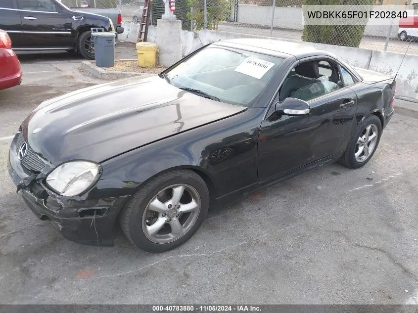 2001 Mercedes-Benz Slk 320 VIN: WDBKK65F01F202840 Lot: 40783880