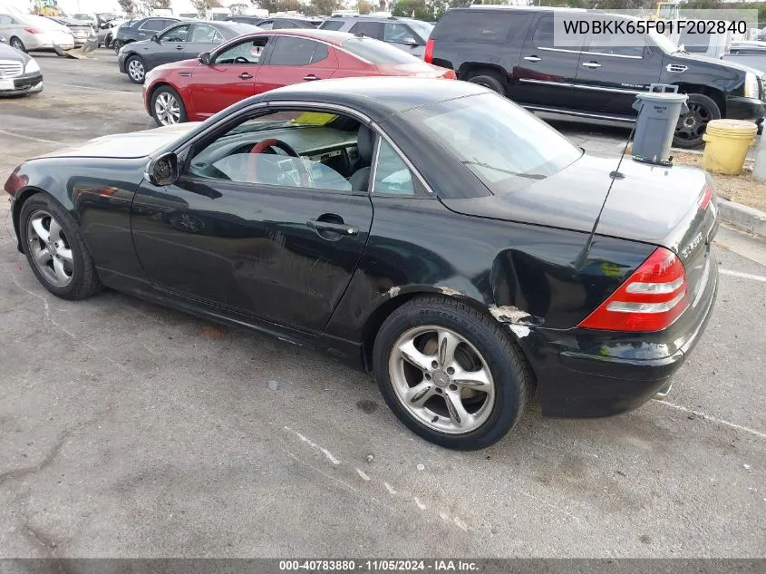 2001 Mercedes-Benz Slk 320 VIN: WDBKK65F01F202840 Lot: 40783880