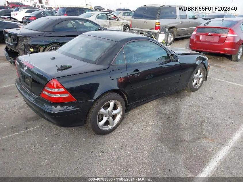 2001 Mercedes-Benz Slk 320 VIN: WDBKK65F01F202840 Lot: 40783880