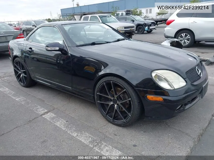 2002 Mercedes-Benz Slk 320 VIN: WDBKK65F42F239214 Lot: 40371967