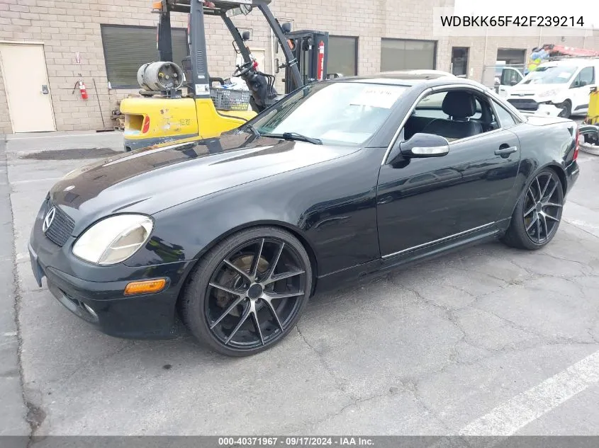 2002 Mercedes-Benz Slk 320 VIN: WDBKK65F42F239214 Lot: 40371967