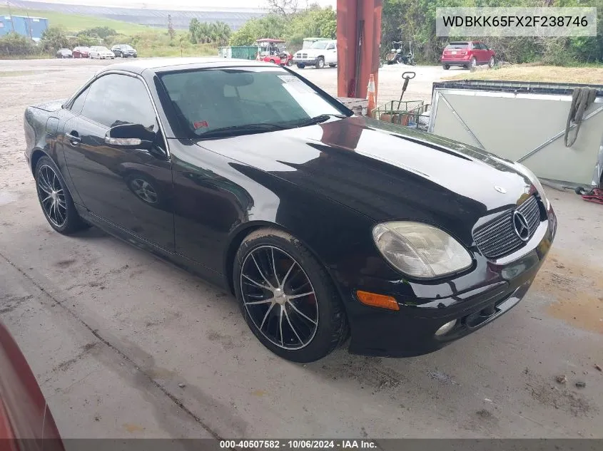 2002 Mercedes-Benz Slk 320 VIN: WDBKK65FX2F238746 Lot: 40507582