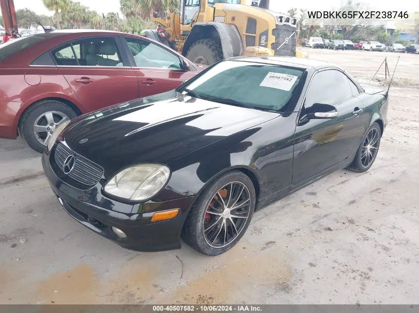 2002 Mercedes-Benz Slk 320 VIN: WDBKK65FX2F238746 Lot: 40507582