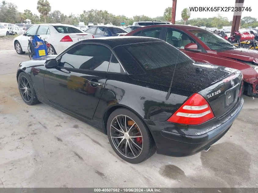 2002 Mercedes-Benz Slk 320 VIN: WDBKK65FX2F238746 Lot: 40507582