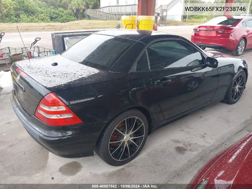 2002 Mercedes-Benz Slk 320 VIN: WDBKK65FX2F238746 Lot: 40507582