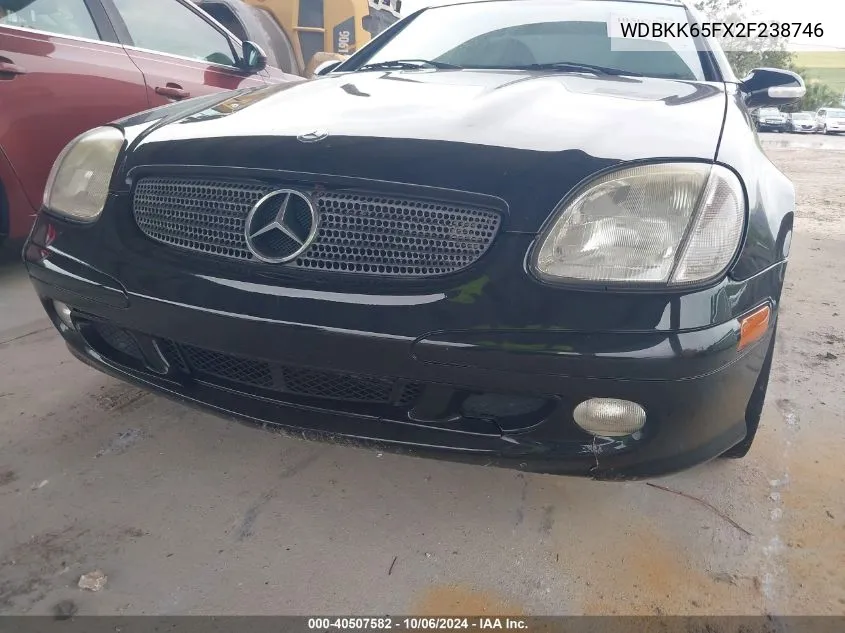 2002 Mercedes-Benz Slk 320 VIN: WDBKK65FX2F238746 Lot: 40507582