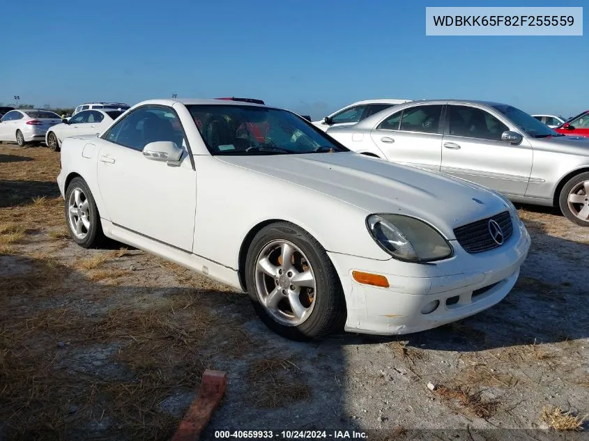 2002 Mercedes-Benz Slk 320 VIN: WDBKK65F82F255559 Lot: 40659933