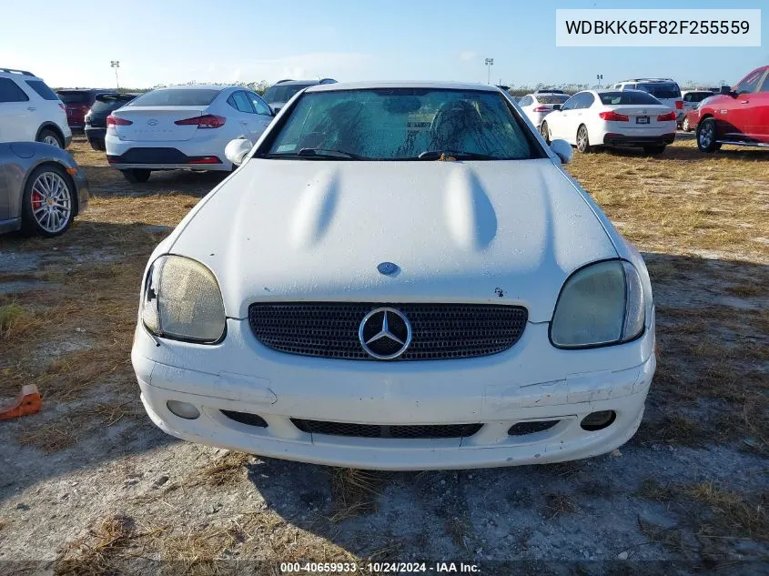 2002 Mercedes-Benz Slk 320 VIN: WDBKK65F82F255559 Lot: 40659933