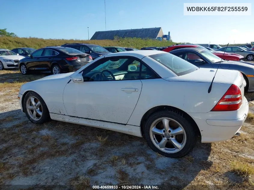 2002 Mercedes-Benz Slk 320 VIN: WDBKK65F82F255559 Lot: 40659933