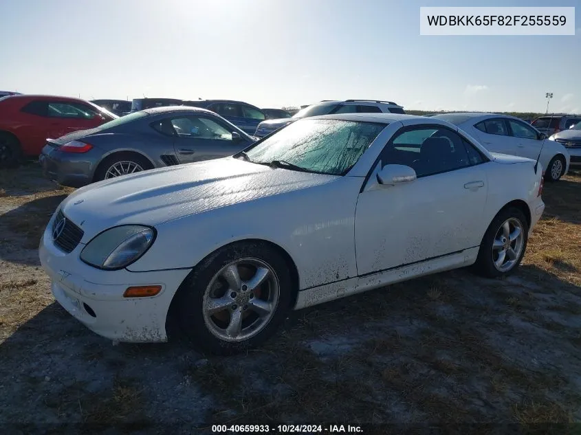 2002 Mercedes-Benz Slk 320 VIN: WDBKK65F82F255559 Lot: 40659933