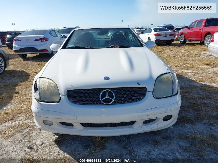 2002 Mercedes-Benz Slk 320 VIN: WDBKK65F82F255559 Lot: 40659933