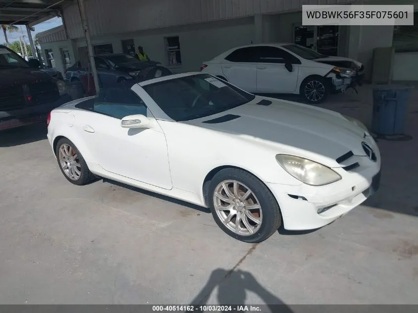 2005 Mercedes-Benz Slk 350 VIN: WDBWK56F35F075601 Lot: 40514162