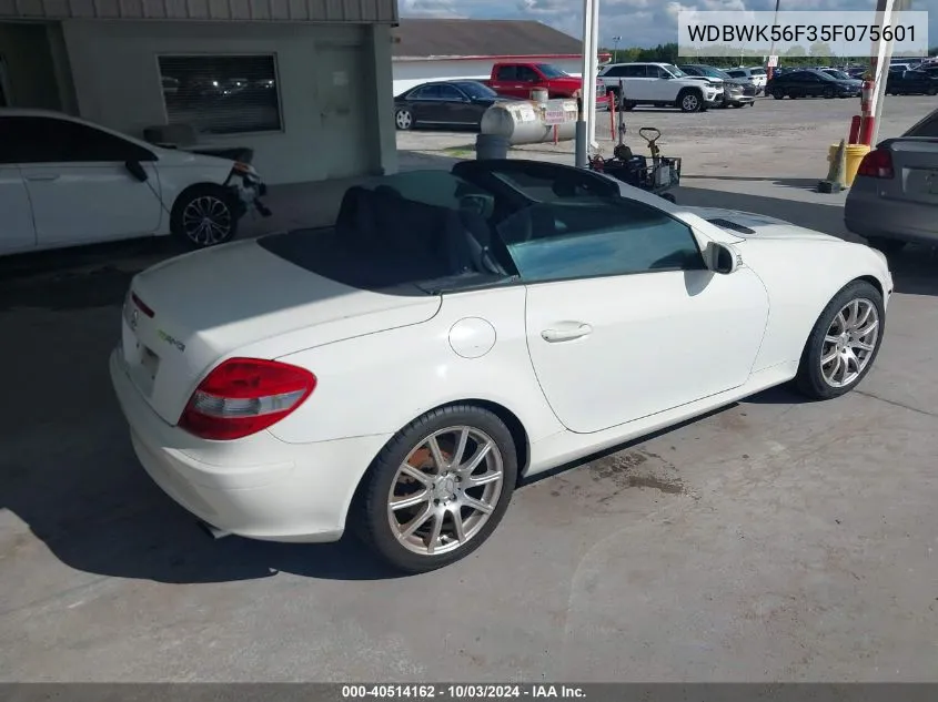 2005 Mercedes-Benz Slk 350 VIN: WDBWK56F35F075601 Lot: 40514162