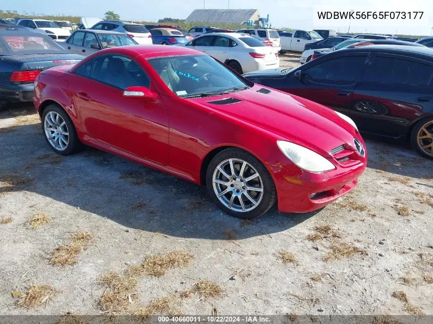 2005 Mercedes-Benz Slk 350 VIN: WDBWK56F65F073177 Lot: 40660011