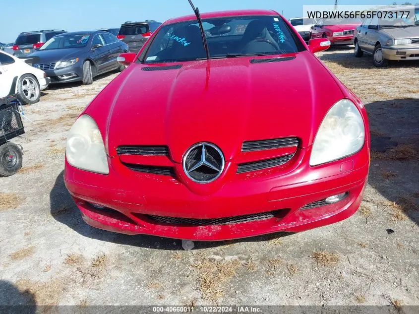 2005 Mercedes-Benz Slk 350 VIN: WDBWK56F65F073177 Lot: 40660011